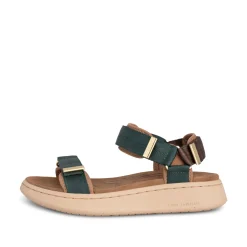 Women Woden Line - Deep Forest/Chocolate
