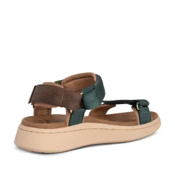 Women Woden Line - Deep Forest/Chocolate