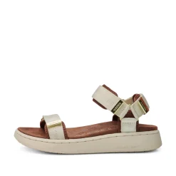 Women Woden Line - Ivory