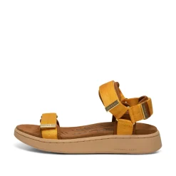 Women Woden Line - Old Gold
