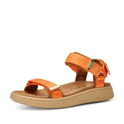 Women Woden Line - Tiger