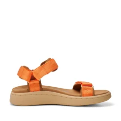 Women Woden Line - Tiger